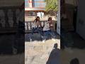 NBA Young Boy BIG TRUCK #tiktok #dance #Trend