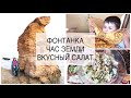 САЛАТ С КУРИНОЙ ПЕЧЕНЬЮ/ ФОНТАНКА/ ЧАС ЗЕМЛИ