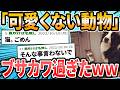 【見た目】かわいいと思えない動物がブサかわ過ぎた【2ch面白いスレ】