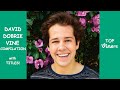 Ultimate David Dobrik Vine Compilation with Titles! - All David Dobrik Vines | Top Viners ✔