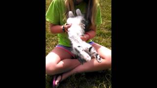 Madison And Trick Kitten