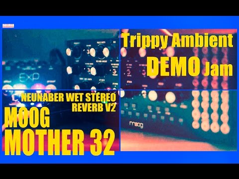 MOOG MOTHER 32 Trippy Ambient DEMO JAM & Unboxing / Neunaber Wet Stereo Reverb V2 EXP Slate (#47)