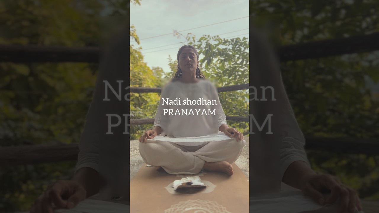 #breathe #pranayama #nadishodhan #alternatenostrilbreathing #energy  #yoga #kundalini #awakening
