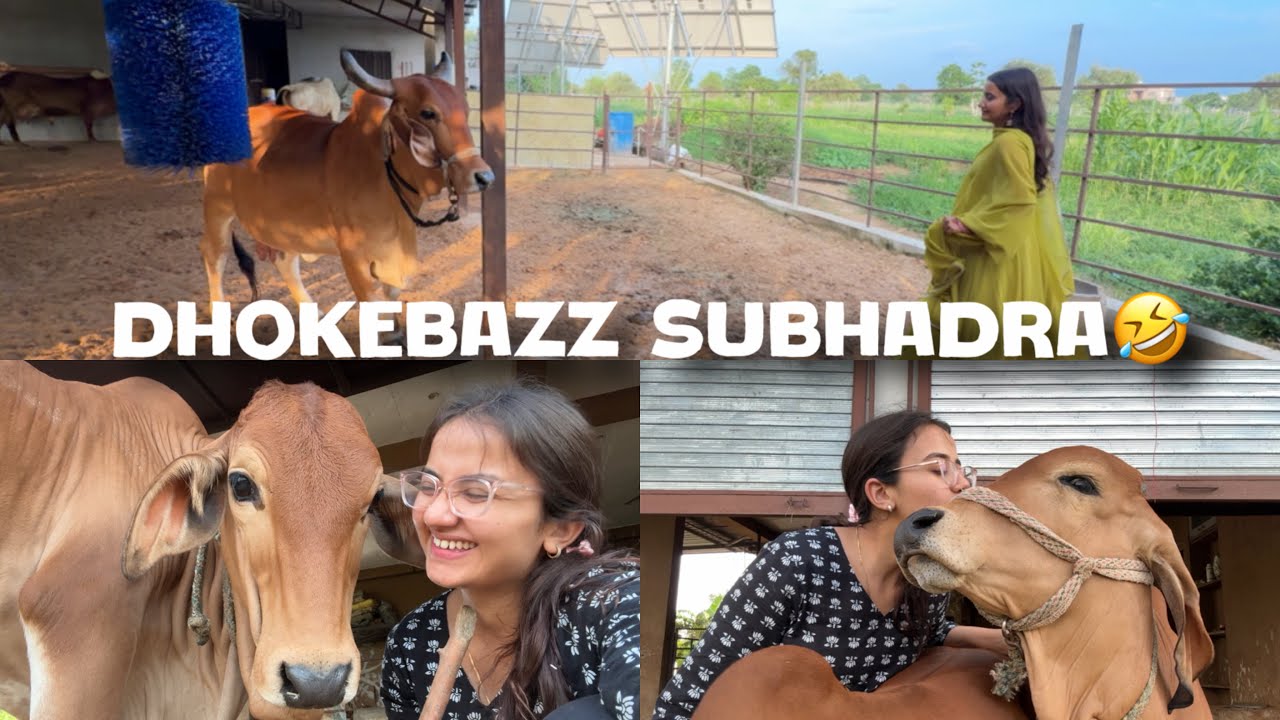 Jab Ekta Ne Kiya Pange… Aur Pitayi Ho Gayi Zabardast!😓