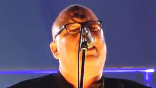 Pixies - Monkey Gone to Heaven