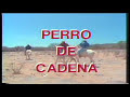 Perro De Cadena (Trailer)