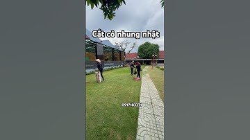 Cắt cỏ nhung nhật. Dịch vụ cắt cỏ vệ sinh dọn dẹp sân vườn #0917183271