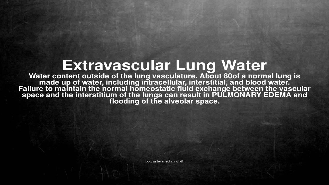 Medical vocabulary What does Extravascular Lung Water mean YouTube