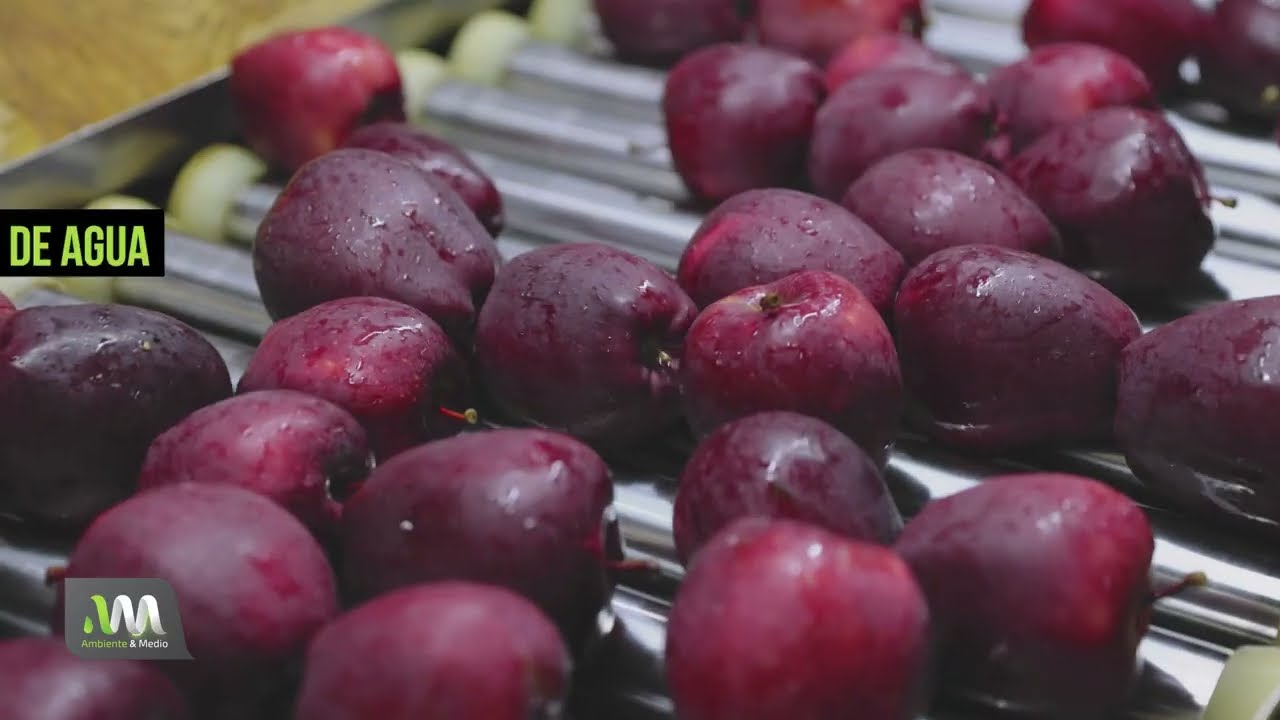 ¿Qué es el AGUA VIRTUAL y cómo influye en tu día a día? 💧