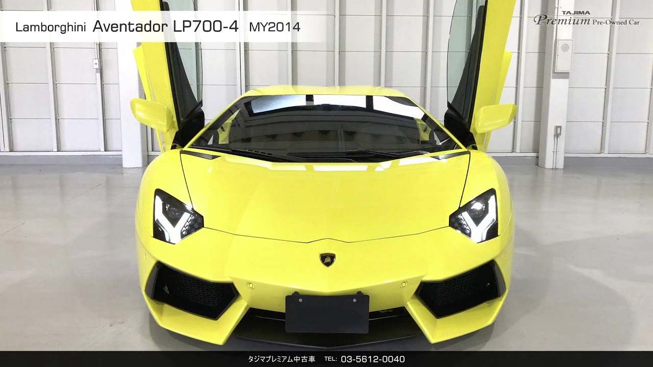 テオドール　アビランド リモージュ 597 約20.5cmプレート　① Make Up Co., Ltd. / Lamborghini Aventador LP720-4 50