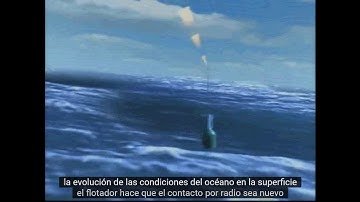 Argo Float Animation