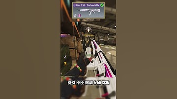 Best Free Grau 5.56 skin The Inevitable