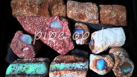 extremely rare find, opalised pterosaur bones and teeth