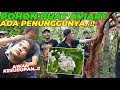 POHON BUAT AVIARY INI TERNYATA ADA DI TENGAH HUTAN..!! EH DAPET KEJUTAN ...