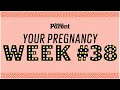 Your pregnancy: 38 weeks