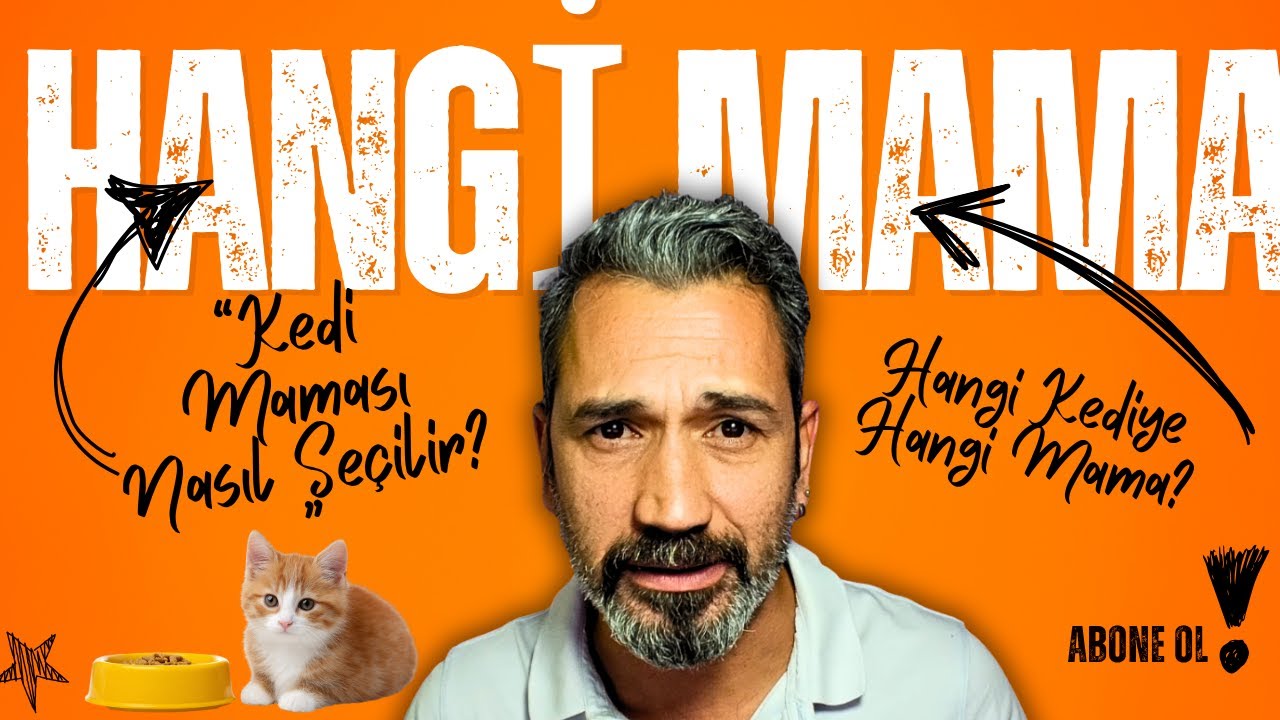 “Kedi Maması Nasıl Seçilir? Hangi Kediye Hangi Mama?”