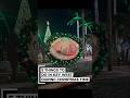 Christmas in Key West | 5 Festive Things You Can’t Miss