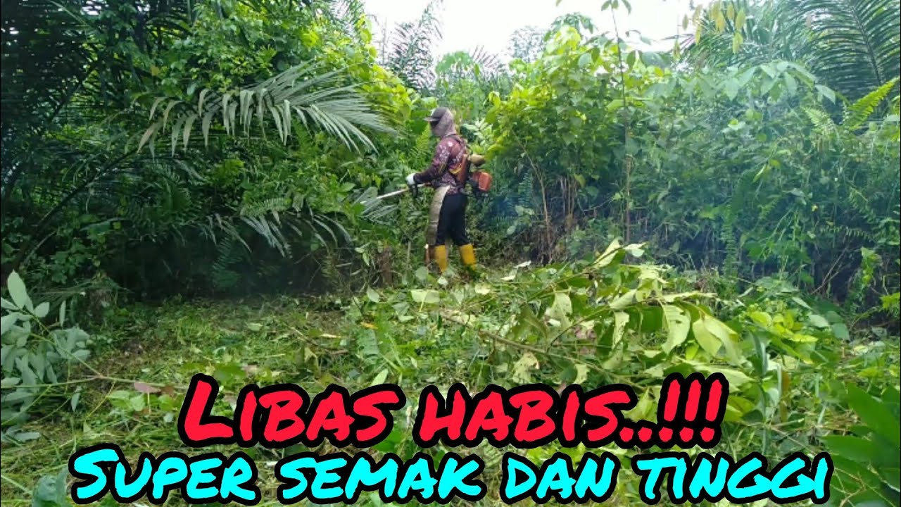 Mesin rumput, renyah libas habis, super semak dan tinggi
