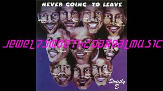 Darrin Houston ~ Never Going To Leave Remix 199x ~ Rare Chicago, IL Indie R&B