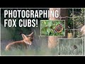 Wildlife Photography UK | Fox Cubs!