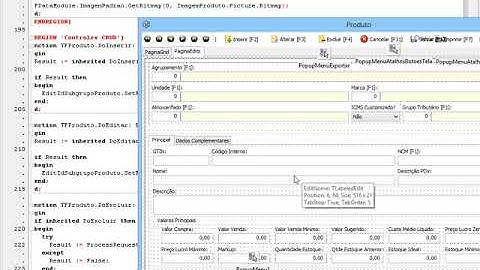 T2Ti ERP 2 0   Lazarus   Infra   10 Cliente   Comum   DataModule