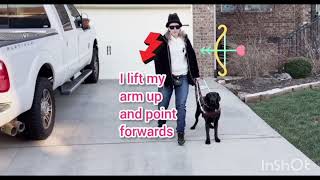 Throwback : How Guide Dog Follow Commands. 🎉🎉🎉#blindgirl #blindmom #guidedog #anaradia