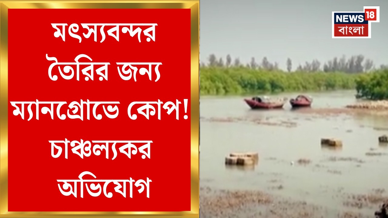 Fishing Port Namkhana | সরকারি জমির বদলে কীভাবে নদীর চরে চলছে মৎস্যবন্দর তৈরির কাজ? | Bangla News