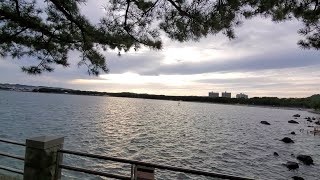 【29歳無職】辛い時はよく海に行きます。