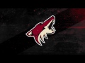 3 O'Clock Feeding - Coyotes vs Blackhawks