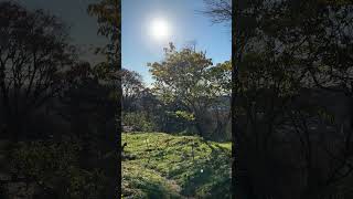 【４K映像】峯山　山頂付近　Mineyama 　From near the summit