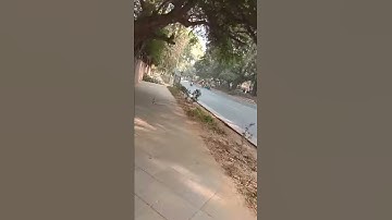 Ignou Solved Assignment CLIS BLII 13 2018-19