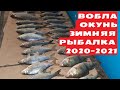 Ахтуба. Хороший улов ВОБЛЫ подледной. Астрахань. Зимняя рыбалка 2020-2021.