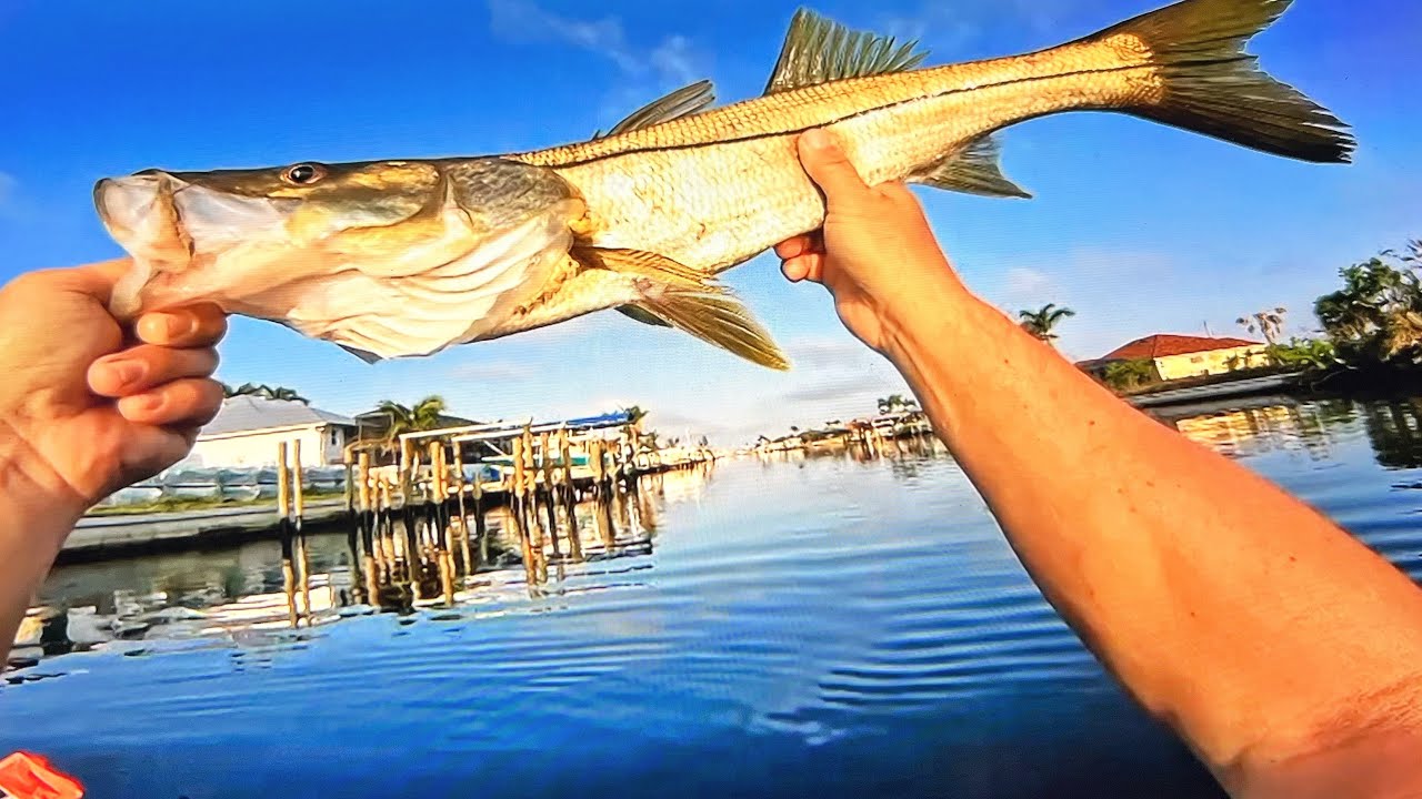 Kayak Fishing Cape Coral Florida YouTube