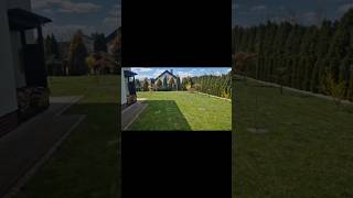 pierwsze koszenie ! czy można ?! #wood #viral #viralvideo #shorts #shortsvideo