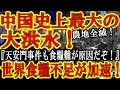 【中国観測史上最大の大洪水発生で農地冠水！習近平『やばい！食料難は革命の引き金になるんだぞ！』】あの天安門事件も背景にインフレによる食料難！世界的な食糧不足に中国の大洪水が追い打ちをかける！アラブの春