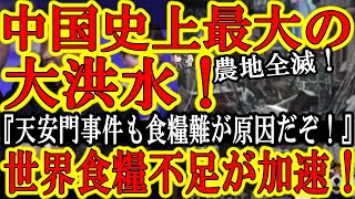 【中国観測史上最大の大洪水発生で農地冠水!習近平『やばい!食料難は革命の引き金になるんだぞ!』】あの天安門事件も背景にインフレによる食料難!世界的な食糧不足に中国の大洪水が追い打ちをかける!アラブの春