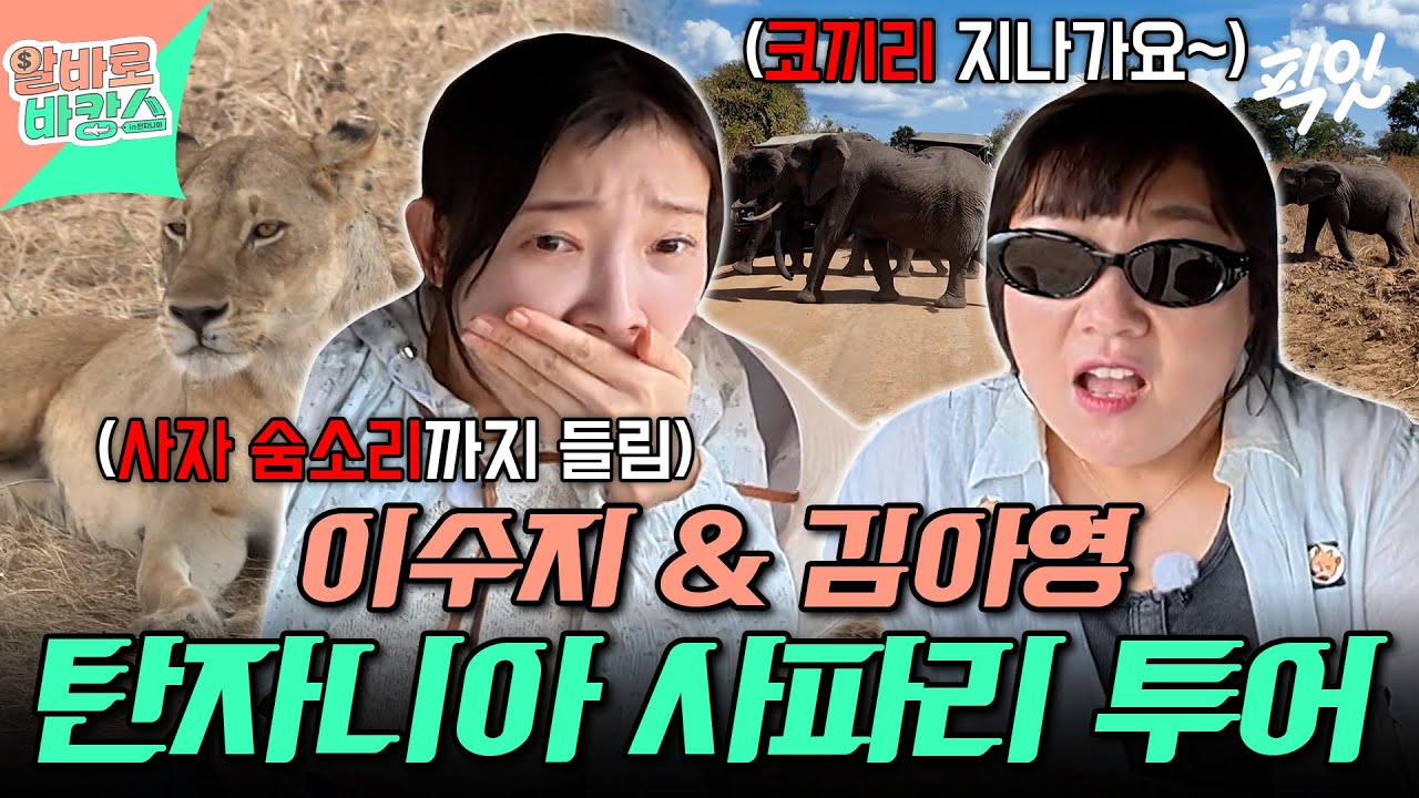 [알바로 바캉스] 사자 숨소리 듣고 잔뜩 쫄은(?) 알바즈! 온몸으로 느끼는 탄자니아 사파리 투어 MBC251203방송 #이수지 #김아영