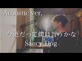 今更だって僕は言うかな - Saucy Dog 【Acoustic Cover】