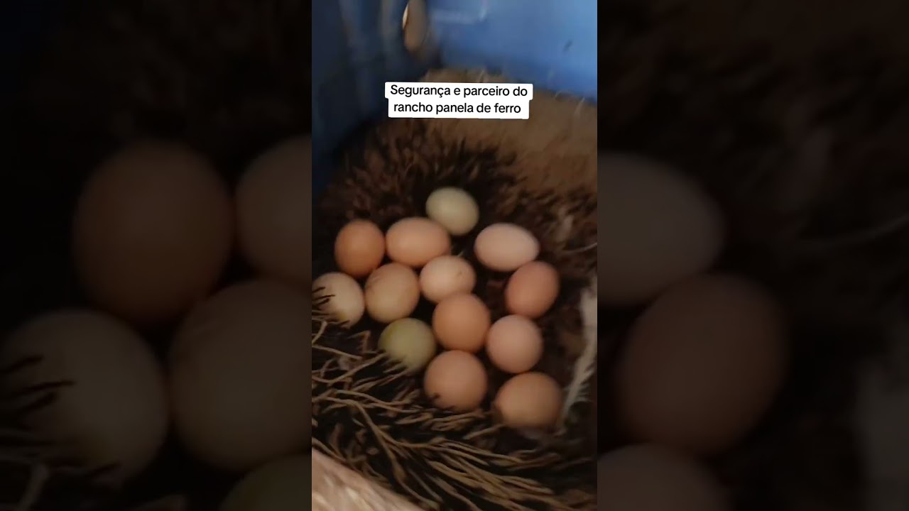 16 de janeiro de 2026