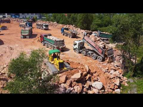 Mighty Heavy Bulldozer Work Moving Earth Filling Lowland Area Dump Trucks Dumping Soil