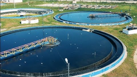 CEE and Ray & Jules are awarded for reducing carbon emissions with continuous bulk processing