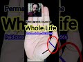 whole life #astrology #astrolook #palmistry #ashtrology #palmreading