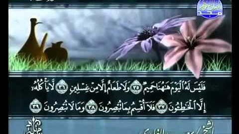 مقطع من سورة الحاقة الآيات ٣٥-٣٦-٣٧-٣٨-٣٩-٤٠-٤١-٤٢-٤٣.