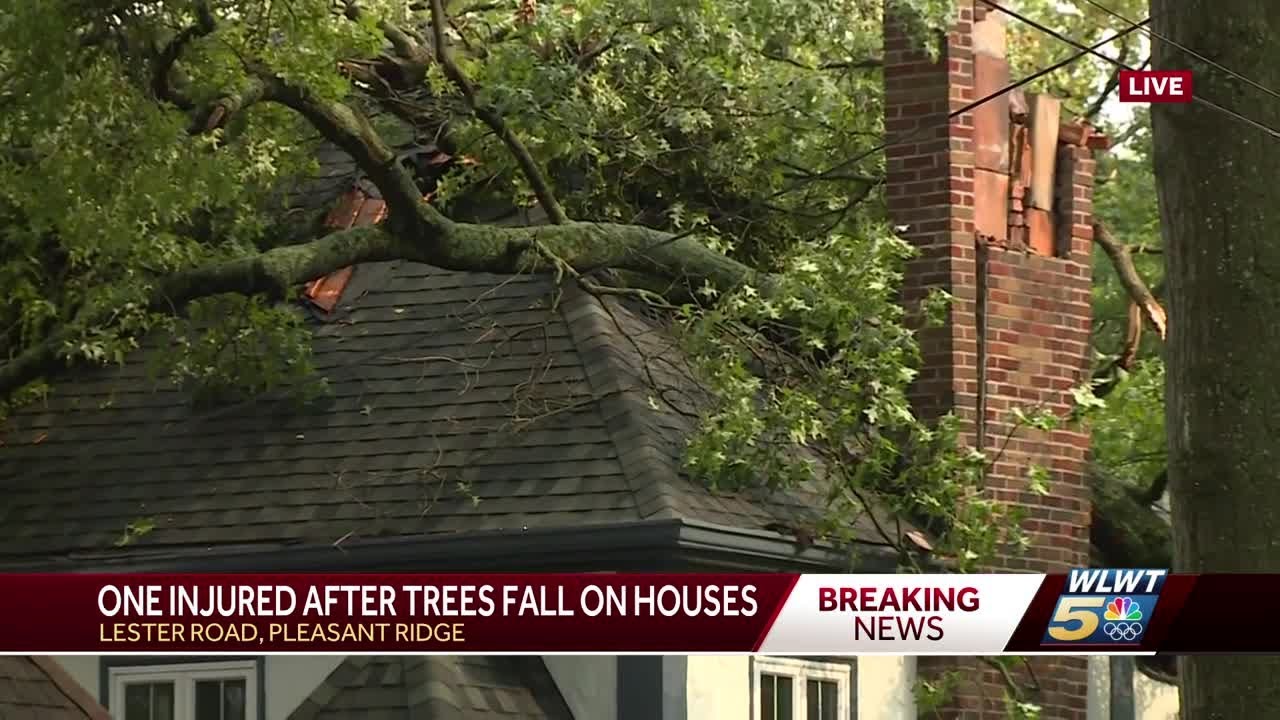 Tree Fall Hit Officials: Woman injured after trees fell on houses in Pleasant Ridge ...