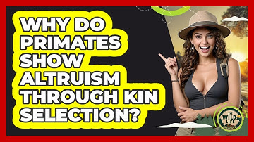 Why Do Primates Show Altruism Through Kin Selection? - The Wild Life Explorer