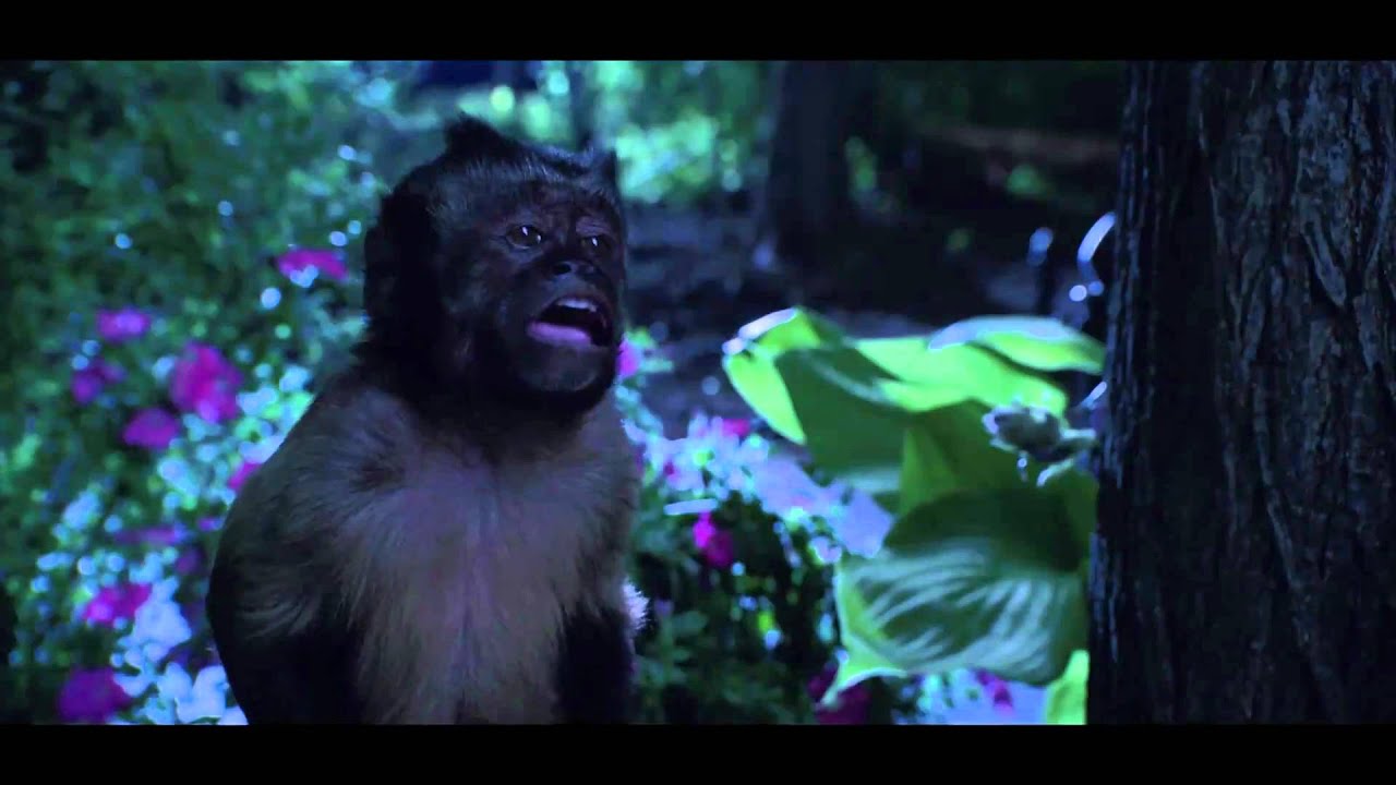 Zookeeper - Bande annonce 1 VF