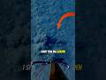 Guess what happened with this fish #fishing #spearfishing