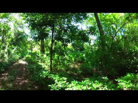 [360°] Área Natural Protegida Escuintla