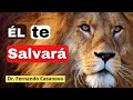 ¿Qué significa el León de la Tribu de Judá, y qué tiene que ver contigo? | Apocalipsis y Evangelio.