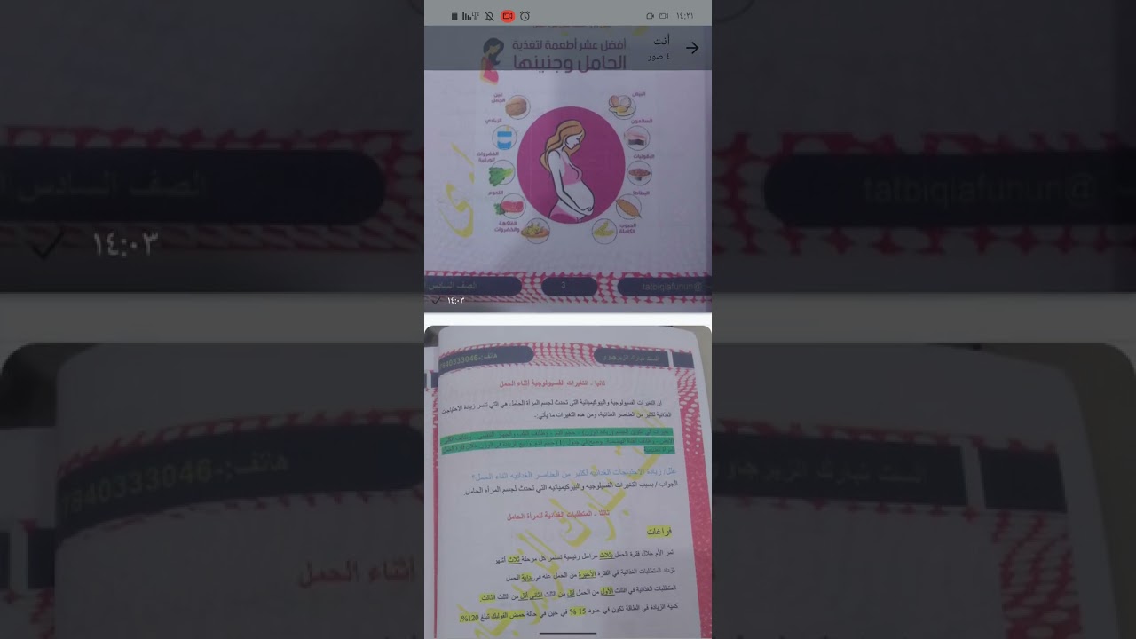 تغذية الام الحامل / مادة التغذية